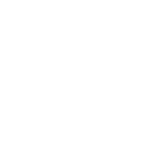 Aldar Logo White PNG