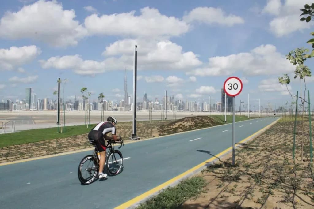 Al Sheba Park Cycle Track in Dubai, featuring a smooth cycling path surrounded by greenery under a bright blue sky.