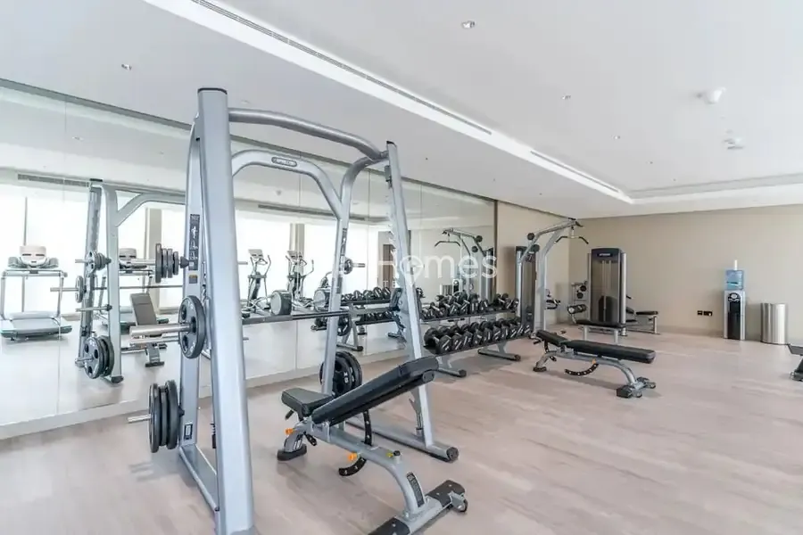 imgi_81_791577809-800×600