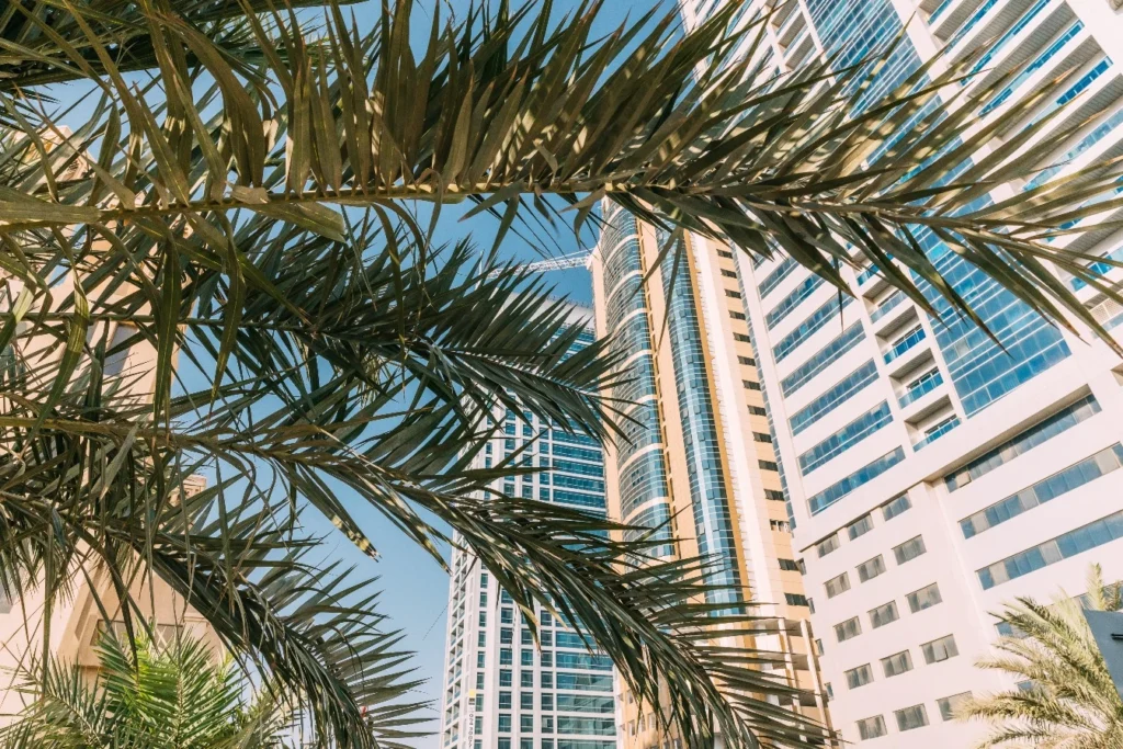 Can a Foreigner Inherit Property in Dubai?